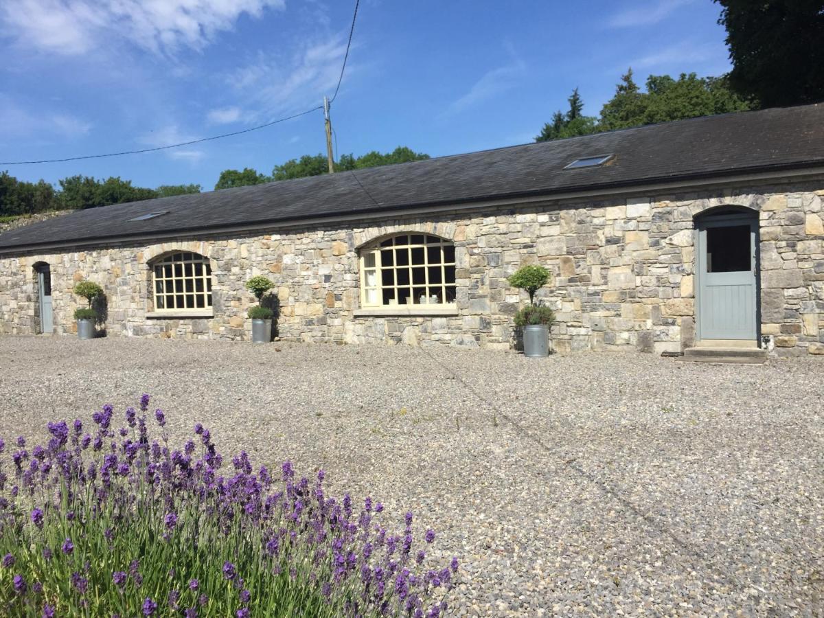 Clonalis House - Guesthouse Castlerea Exterior foto